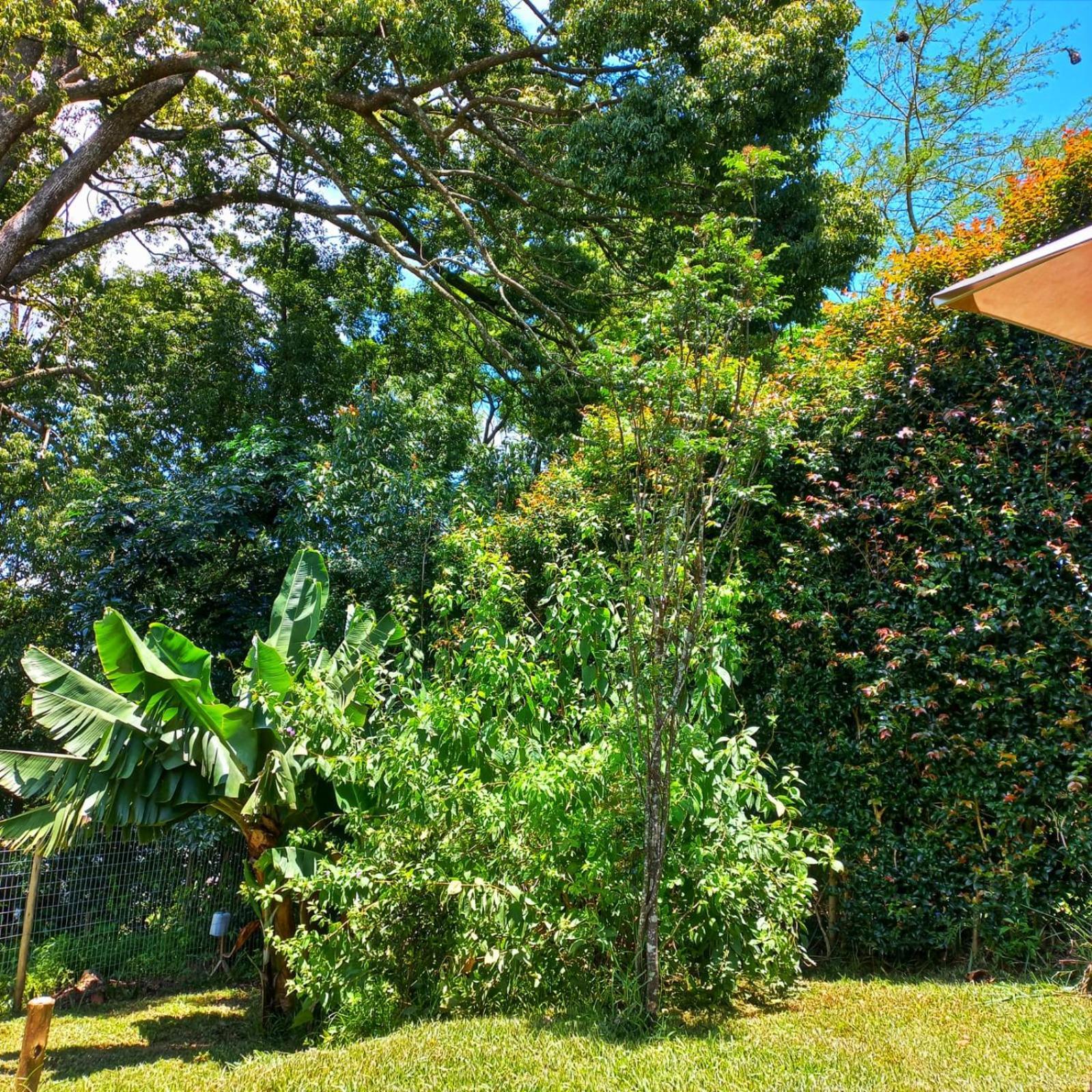 Highview Lodge Gillitts Экстерьер фото
